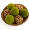 Kirkland's Home Mixed Green Moss And Twig Orb Bag- Bowl Filler