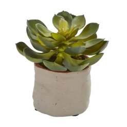 Kirkland's Home Mixed Succulent Arrangements, Set Of 4- Arrangements & Greenery