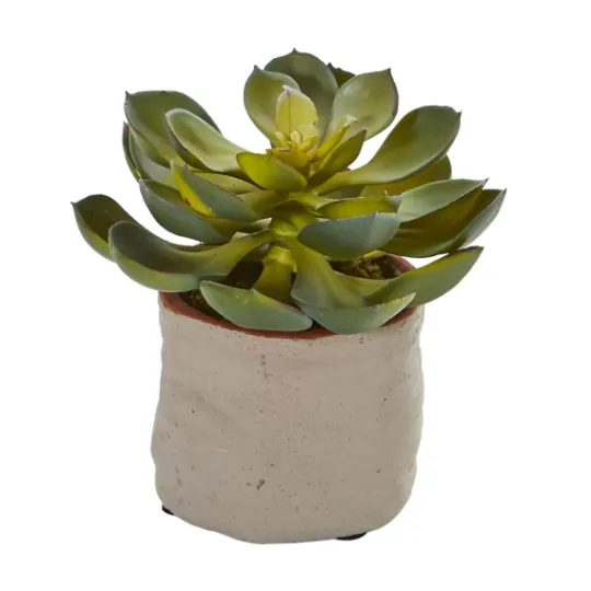 Kirkland's Home Mixed Succulent Arrangements, Set Of 4- Arrangements & Greenery