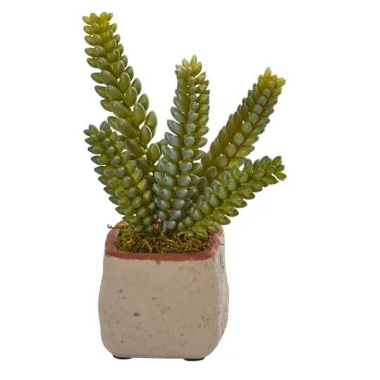 Kirkland's Home Mixed Succulent Arrangements, Set Of 4- Arrangements & Greenery