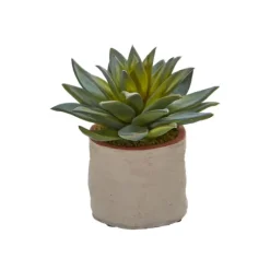 Kirkland's Home Mixed Succulent Arrangements, Set Of 4- Arrangements & Greenery