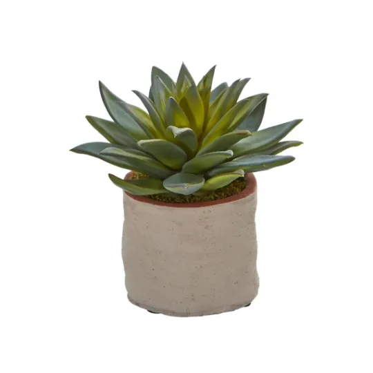 Kirkland's Home Mixed Succulent Arrangements, Set Of 4- Arrangements & Greenery