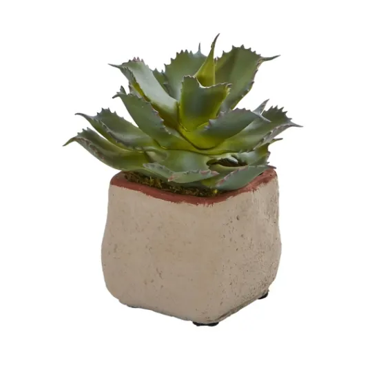 Kirkland's Home Mixed Succulent Arrangements, Set Of 4- Arrangements & Greenery