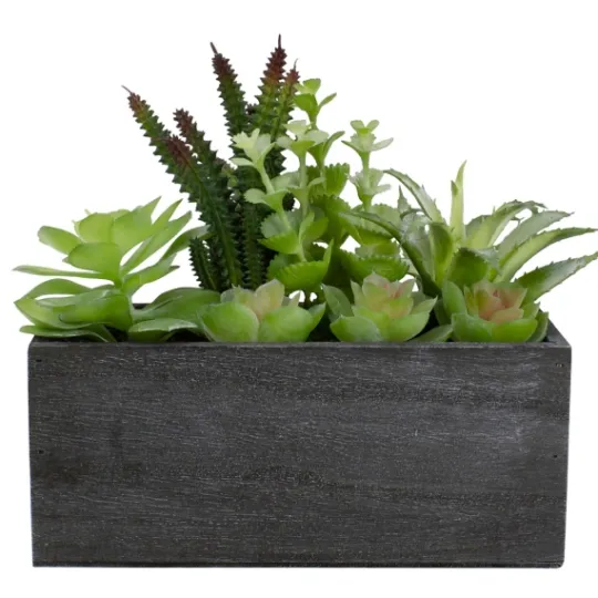 Kirkland's Home Mixed Succulents In Black Wood Planter Box- Arrangements & Greenery