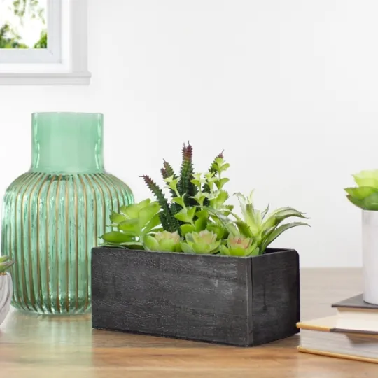 Kirkland's Home Mixed Succulents In Black Wood Planter Box- Arrangements & Greenery