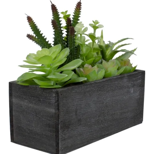 Kirkland's Home Mixed Succulents In Black Wood Planter Box- Arrangements & Greenery