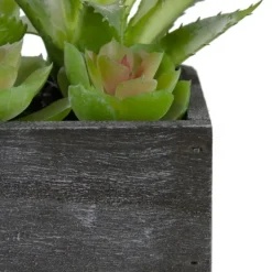 Kirkland's Home Mixed Succulents In Black Wood Planter Box- Arrangements & Greenery