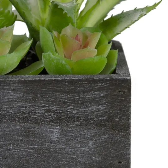 Kirkland's Home Mixed Succulents In Black Wood Planter Box- Arrangements & Greenery