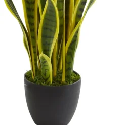 Kirkland's Home Modern Potted Laurentii Snake Plant- Arrangements & Greenery
