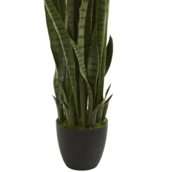 Kirkland's Home Modern Potted Tri Snake Plant- Arrangements & Greenery