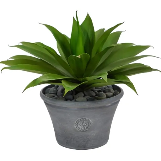 Kirkland's Home Mojave Agave Succulent In Gray Planter- Arrangements & Greenery