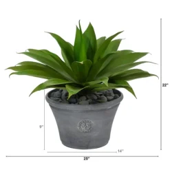 Kirkland's Home Mojave Agave Succulent In Gray Planter- Arrangements & Greenery