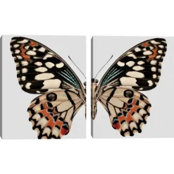 Kirkland's Home Monarch Butterfly I & Ii Canvas Prints, Set Of 2- Wall Quotes & Signs