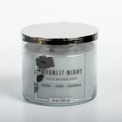 Kirkland's Home Moonlit Night Triple Wick Jar Candle- Candles