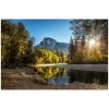 Kirkland's Home Morning In Paradise Glass Art Print- Framed Art