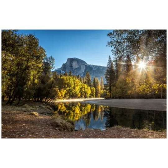 Kirkland's Home Morning In Paradise Glass Art Print- Framed Art