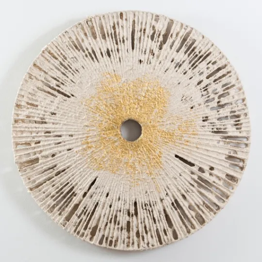 Kirkland's Home Nala Gold Leaf Paper Pulp Medallion Plaque- Wall Plaques