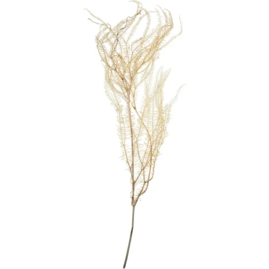 Kirkland's Home Natural Bleached Andares Fern Stems, Set Of 9- Stems & Bouquets