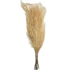 Kirkland's Home Natural Bleached Andares Fern Stems, Set Of 9- Stems & Bouquets