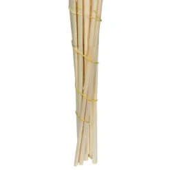 Kirkland's Home Natural Bleached Pampas Grass Stems, Set Of 6- Stems & Bouquets