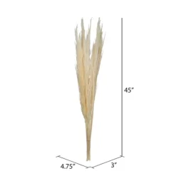 Kirkland's Home Natural Bleached Pampas Grass Stems, Set Of 6- Stems & Bouquets