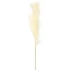 Kirkland's Home Natural Cream Pampas Grass Stems, Set Of 4- Stems & Bouquets