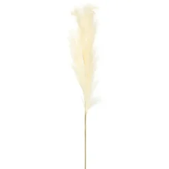 Kirkland's Home Natural Cream Pampas Grass Stems, Set Of 4- Stems & Bouquets