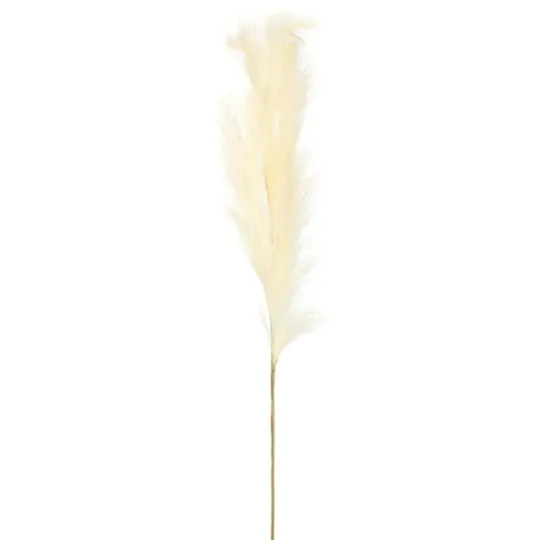Kirkland's Home Natural Cream Pampas Grass Stems, Set Of 4- Stems & Bouquets