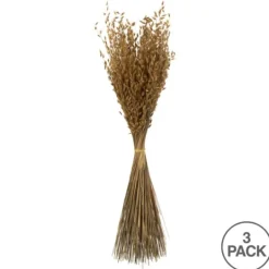Kirkland's Home Natural Dried Princess Grass Bundles, Set Of 3- Stems & Bouquets