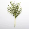 Kirkland's Home Natural Eucalyptus Bundle- Stems & Bouquets