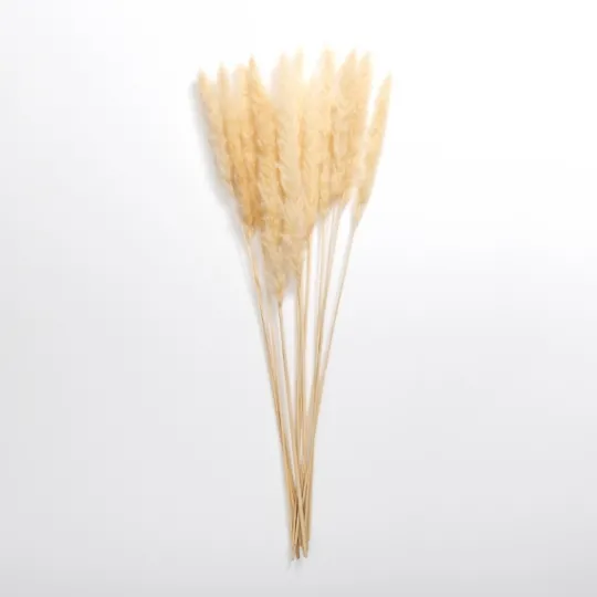 Kirkland's Home Natural Pampas Bundle- Stems & Bouquets