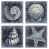 Kirkland's Home Nautical Seashells 4-Pc. Canvas Art Print Set- Framed Art