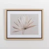 Kirkland's Home Neutral Dry Palm Leaf Framed Art Print- Framed Art