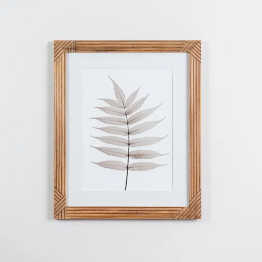 Kirkland's Home Neutral Fern Ii Framed Art Print- Framed Art