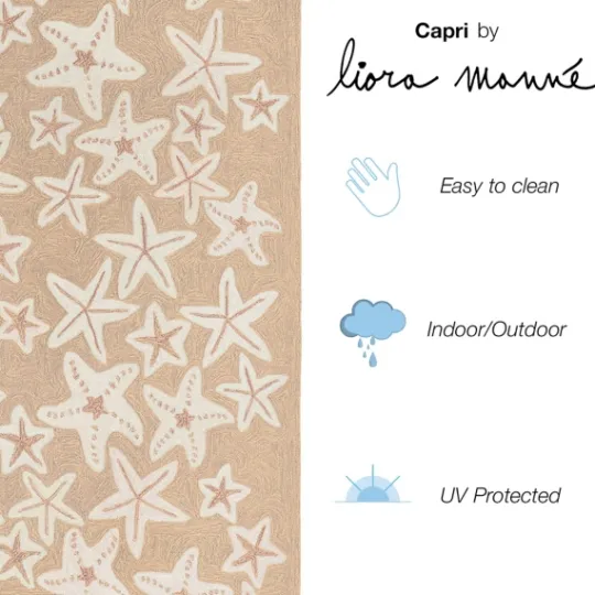 Kirkland's Home Neutral Starfish Outdoor Area Rug, 5X7- Outdoor Rugs