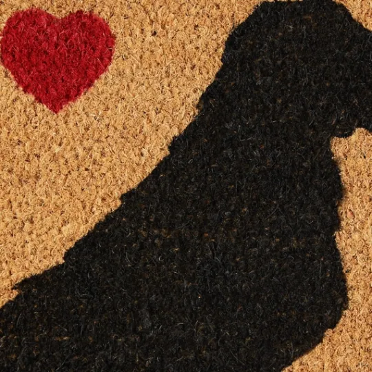 Kirkland's Home Not Home Without A Dog Coir Doormat- Doormats