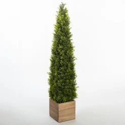 Kirkland's Home Obelisk Boxwood Topiary In Wood Box, 48 In.- Trees & Topiaries