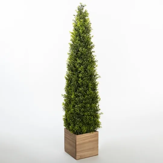 Kirkland's Home Obelisk Boxwood Topiary In Wood Box, 48 In.- Trees & Topiaries