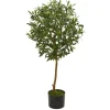 Kirkland's Home Olive Tree, 3.5 Ft.- Trees & Topiaries
