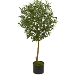 Kirkland's Home Olive Tree, 3.5 Ft.- Trees & Topiaries
