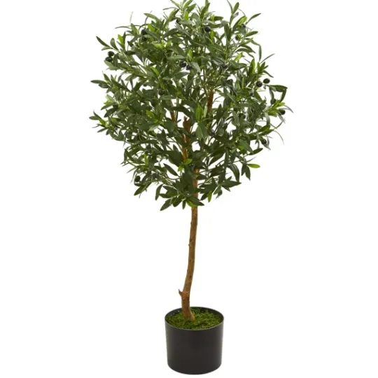 Kirkland's Home Olive Tree, 3.5 Ft.- Trees & Topiaries