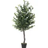 Kirkland's Home Olive Tree In Black Planter, 50 In.- Trees & Topiaries