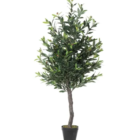 Kirkland's Home Olive Tree In Black Planter, 50 In.- Trees & Topiaries