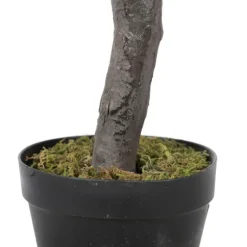 Kirkland's Home Olive Tree In Black Planter, 50 In.- Trees & Topiaries