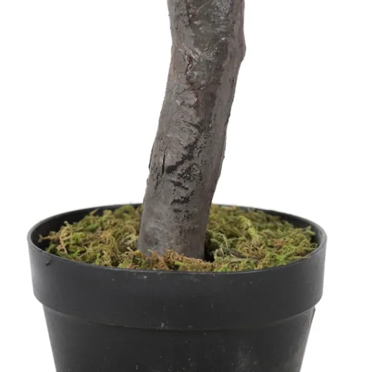 Kirkland's Home Olive Tree In Black Planter, 50 In.- Trees & Topiaries