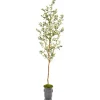 Kirkland's Home Olive Tree In Mossy Metal Planter- Trees & Topiaries