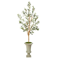 Kirkland's Home Olive Tree In Sandy Urn Planter- Trees & Topiaries