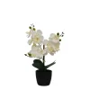 Kirkland's Home Orchid Arrangement In Black Decorative Pot- Arrangements & Greenery