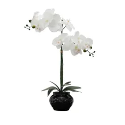 Kirkland's Home Orchid Arrangement In Floral Planter- Arrangements & Greenery