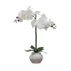 Kirkland's Home Orchid Arrangement In Floral Planter- Arrangements & Greenery